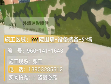 河池 迷彩漆喷涂价格（按平方米计费）